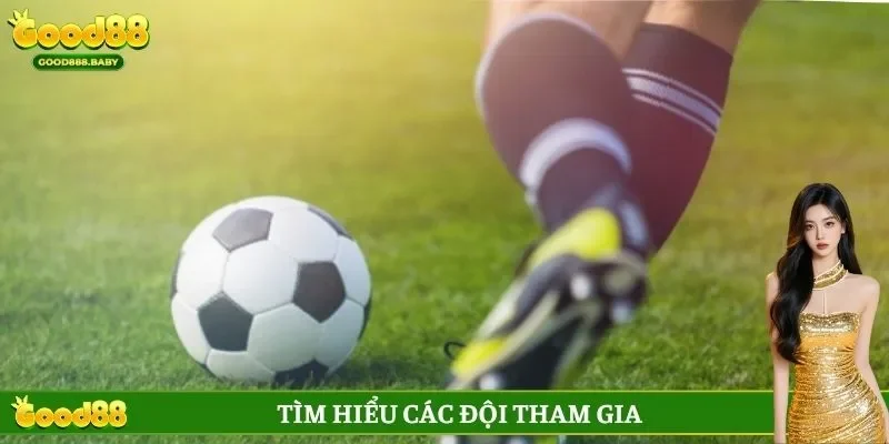 Tìm hiểu các đội tham gia